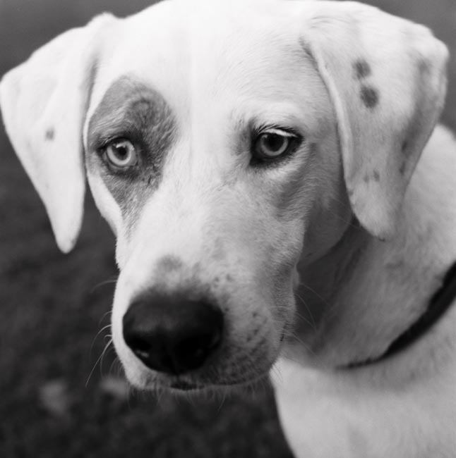 photography by Jenny Lynn