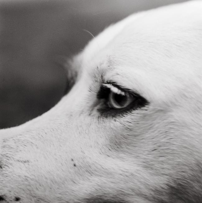 photography by Jenny Lynn