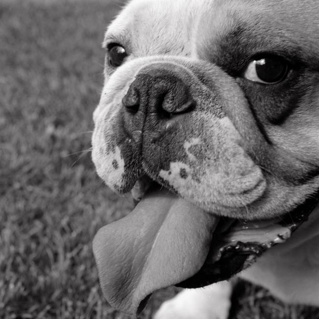 photography by Jenny Lynn