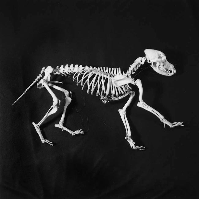 photography by Jenny Lynn