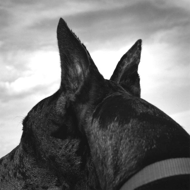 photography by Jenny Lynn