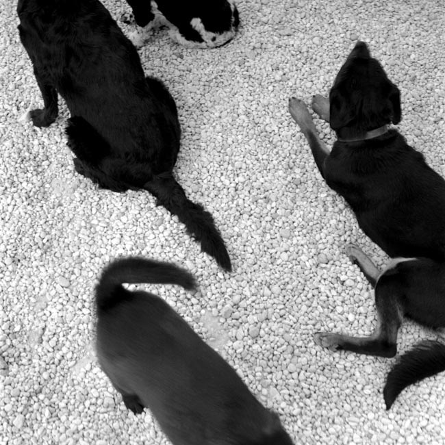 photography by Jenny Lynn