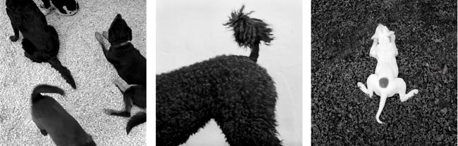 photography by Jenny Lynn