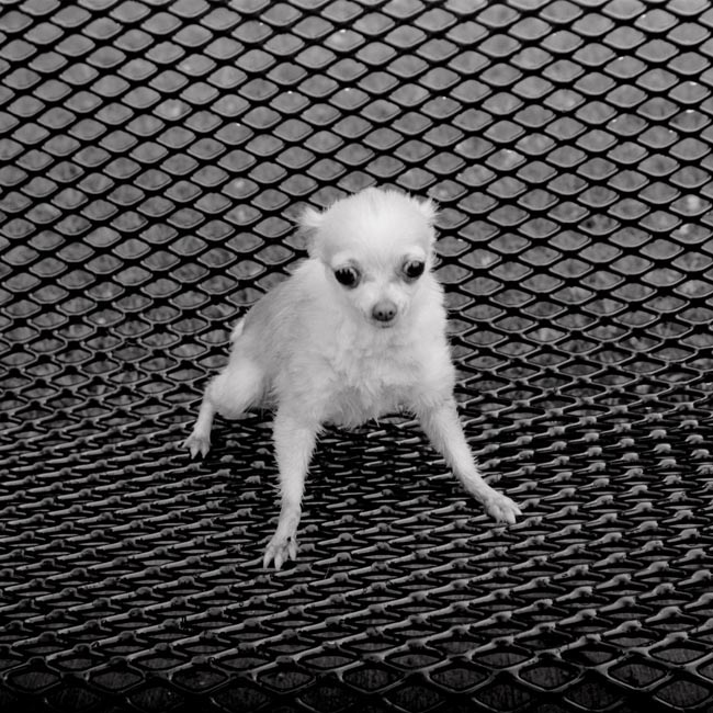 photography by Jenny Lynn