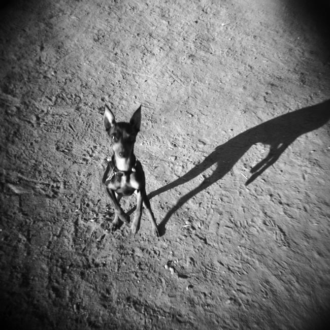 photography by Jenny Lynn