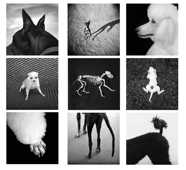 photography by Jenny Lynn