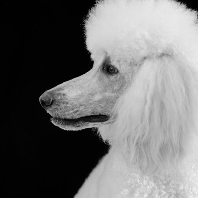 photography by Jenny Lynn