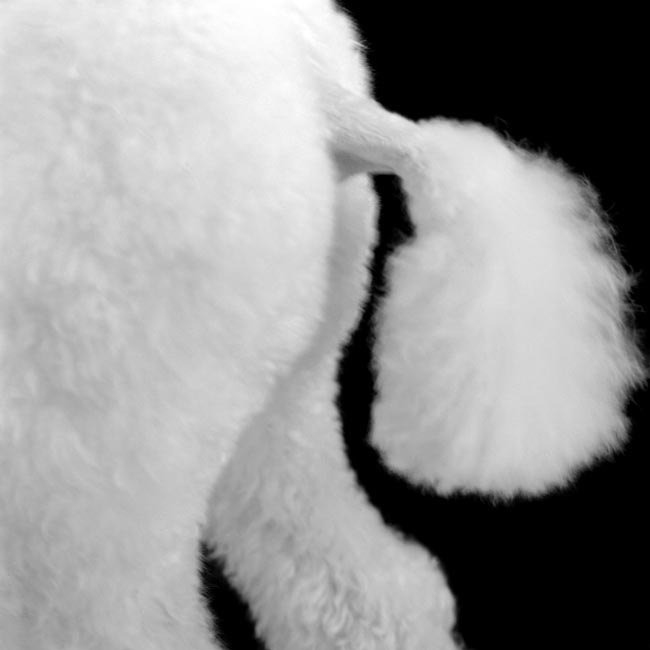 photography by Jenny Lynn