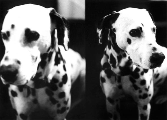 photography by Jenny Lynn