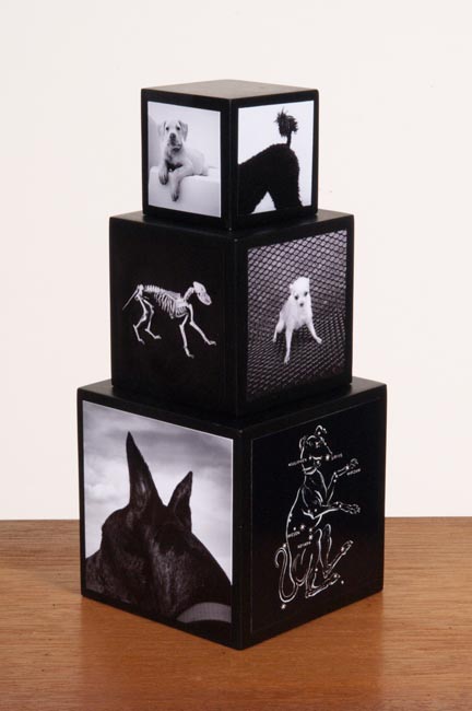 photography by Jenny Lynn