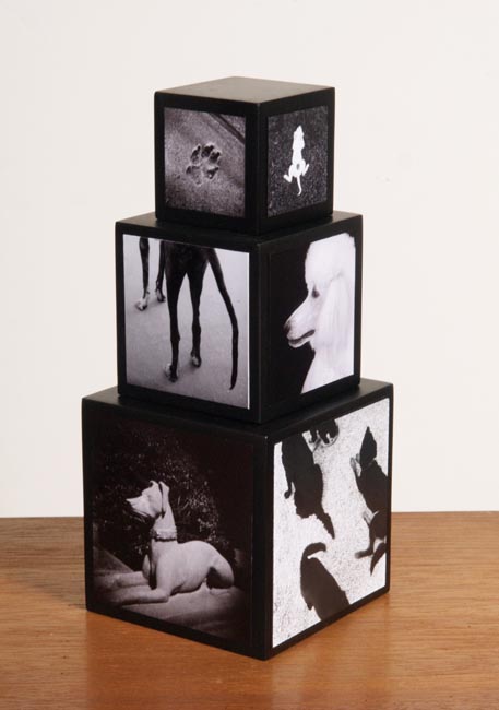 photography by Jenny Lynn