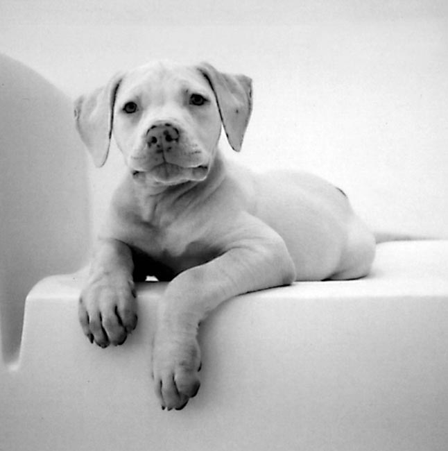 photography by Jenny Lynn