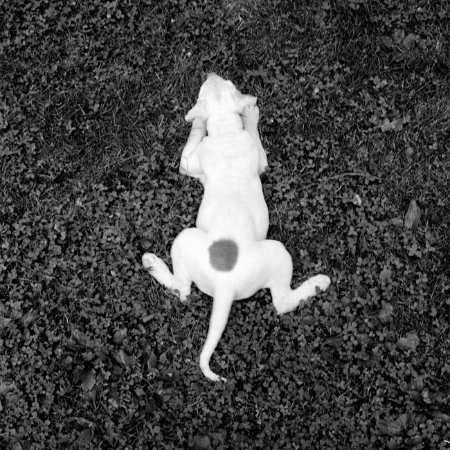 photography by Jenny Lynn