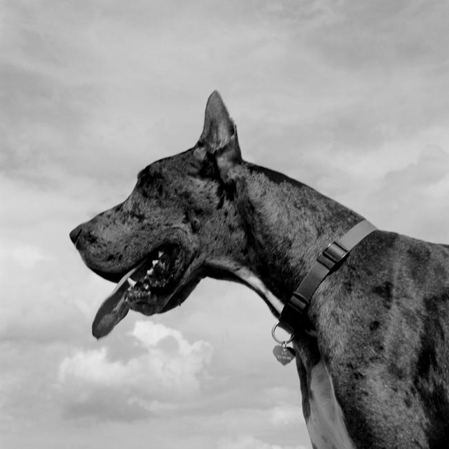 photography by Jenny Lynn