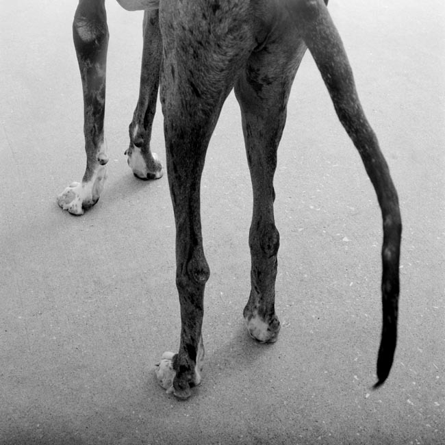 photography by Jenny Lynn