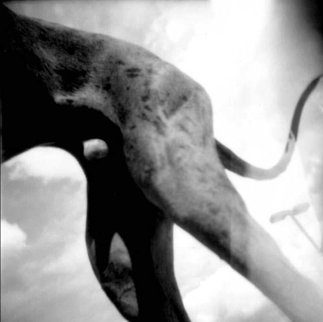 photography by Jenny Lynn