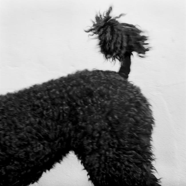 photography by Jenny Lynn