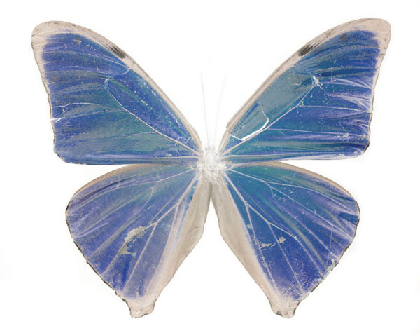 photography by Jenny Lynn