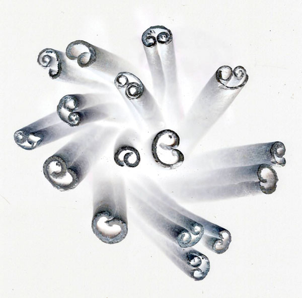 photography by Jenny Lynn