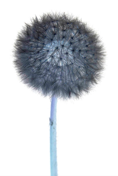 photography by Jenny Lynn