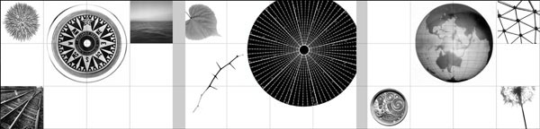 photography by Jenny Lynn