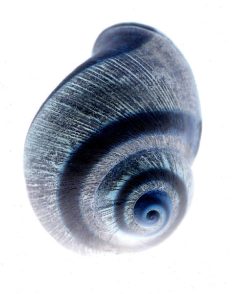 photography by Jenny Lynn