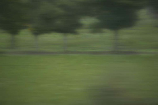photography by Peter Margonelli