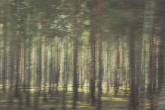 photography by Peter Margonelli