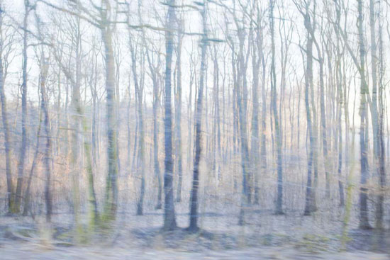 photography by Peter Margonelli