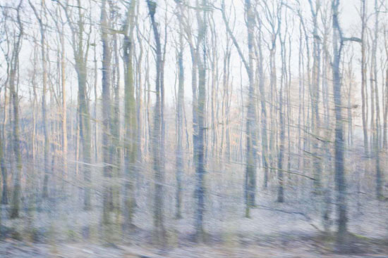 photography by Peter Margonelli