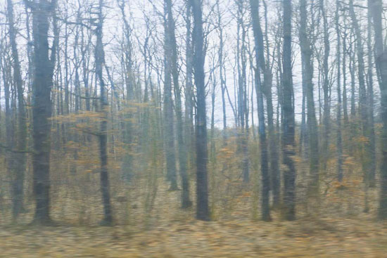 photography by Peter Margonelli