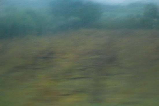 photography by Peter Margonelli