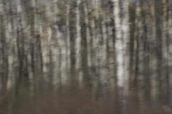 photography by Peter Margonelli
