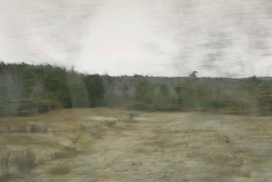 photography by Peter Margonelli