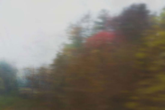 photography by Peter Margonelli