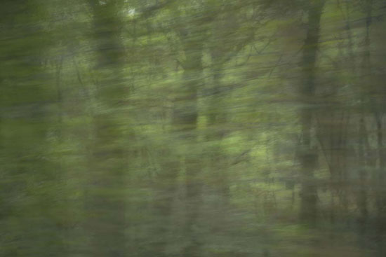photography by Peter Margonelli