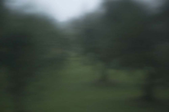 photography by Peter Margonelli