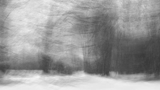 photography by Peter Margonelli