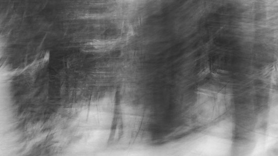 photography by Peter Margonelli