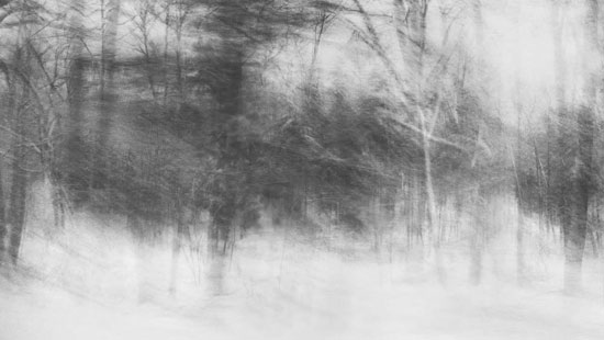photography by Peter Margonelli