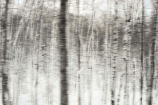photography by Peter Margonelli