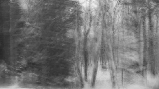 photography by Peter Margonelli