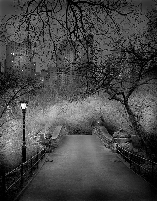 photography by Michael Massaia