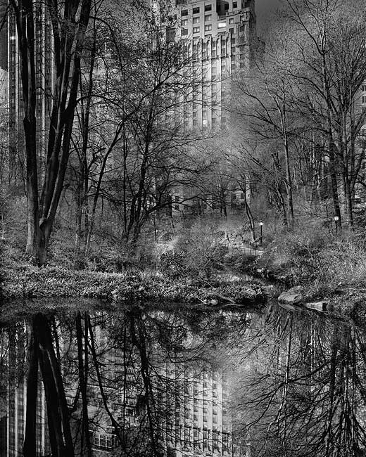 photography by Michael Massaia