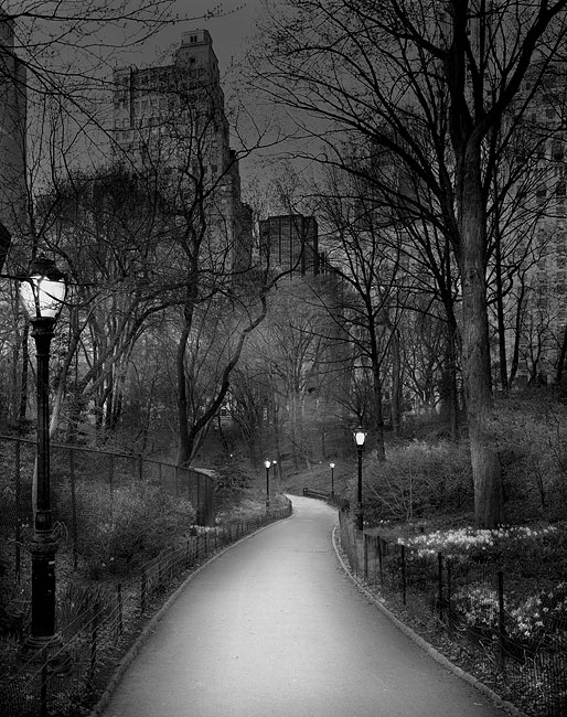 photography by Michael Massaia