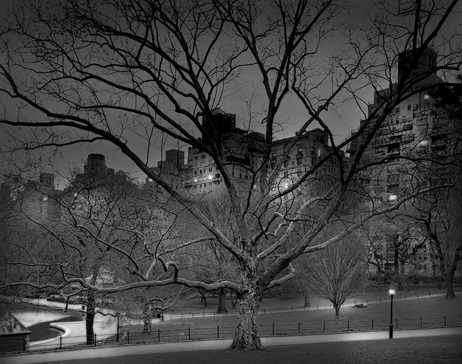 photography by Michael Massaia