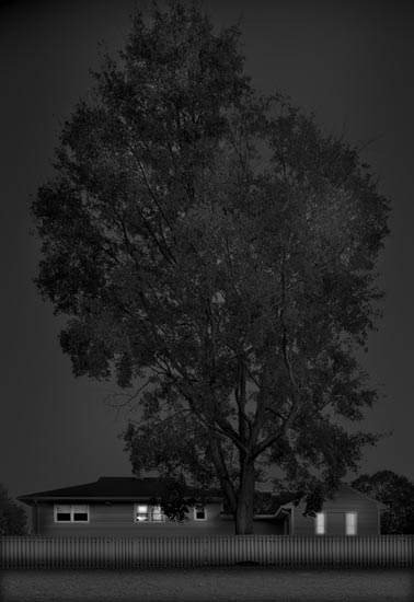 photography by Michael Massaia