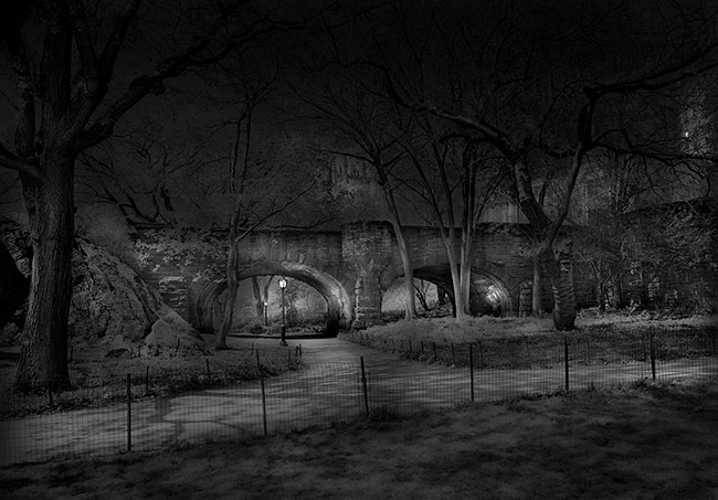 photography by Michael Massaia