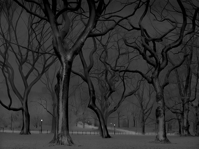 photography by Michael Massaia