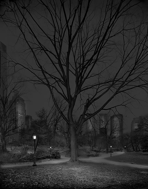 photography by Michael Massaia